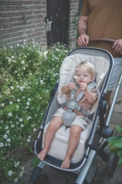 Buggy Einlage Dijon Daily In Sand -Baby Kleidung koeka buggy einlage dijon daily in sand 4