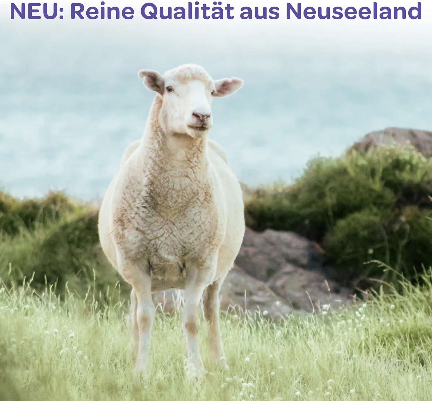 Lansinoh Brustwarzensalbe Lanolin, 40 Ml 5 Lansinoh Brustwarzensalbe Lanolin, 40 Ml – Bild 5