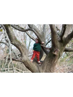 Pullover "From One To Another" In Grün -Baby Kleidung little green radicals pullover from one to another in grun 3