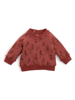 Moulin Roty Sweatshirt "Elliot"