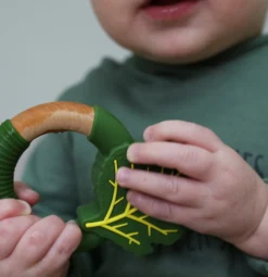 Nibbling "Super Food" Beißring Kohl -Baby Kleidung nibbling nibbling super food beissring kohl 2